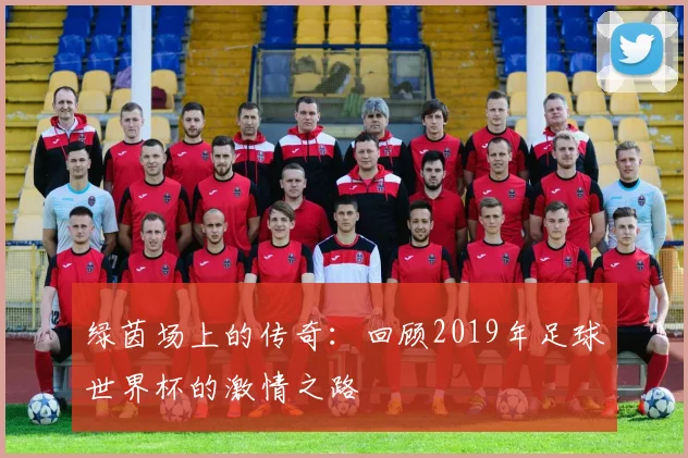 绿茵场上的传奇：回顾2019年足球世界杯的激情之路