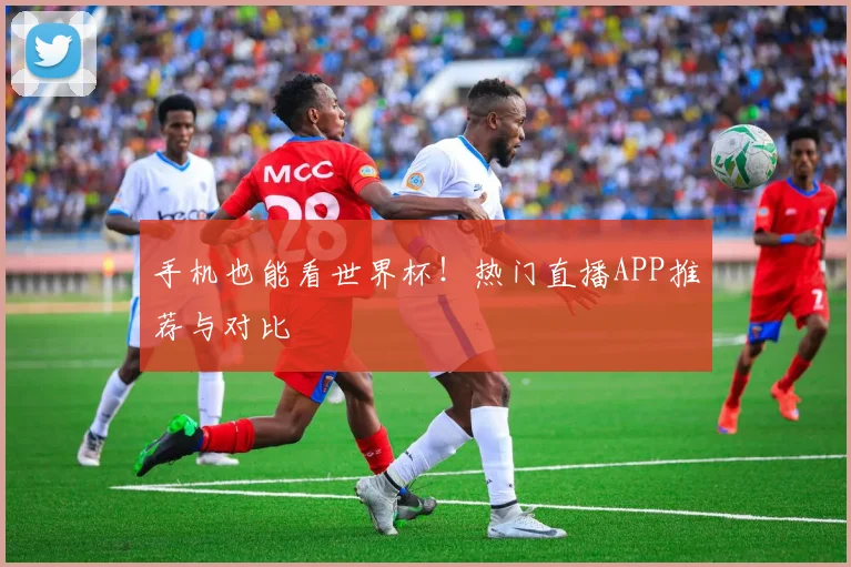 手机也能看世界杯！热门直播APP推荐与对比