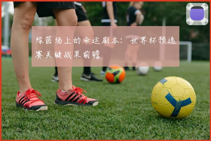 绿茵场上的命运剧本：世界杯预选赛关键战果前瞻