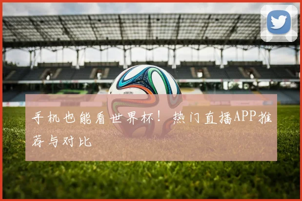 手机也能看世界杯！热门直播APP推荐与对比