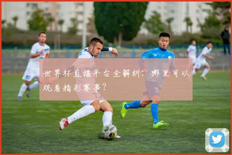 世界杯直播平台全解析：哪里可以观看精彩赛事？