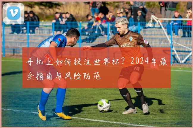 手机上如何投注世界杯？2024年最全指南与风险防范