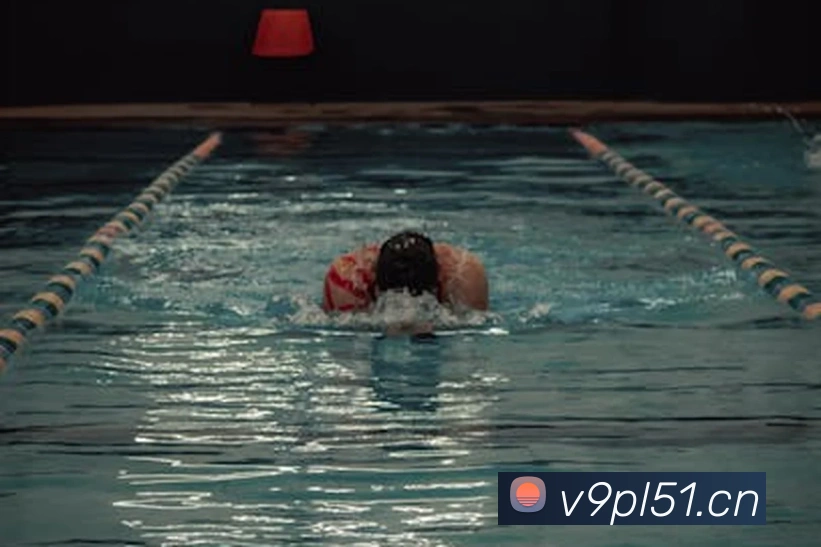 星空网官方网站入口平台生态图