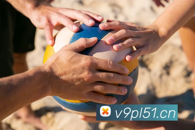 星空网官方网站入口APP 封面图